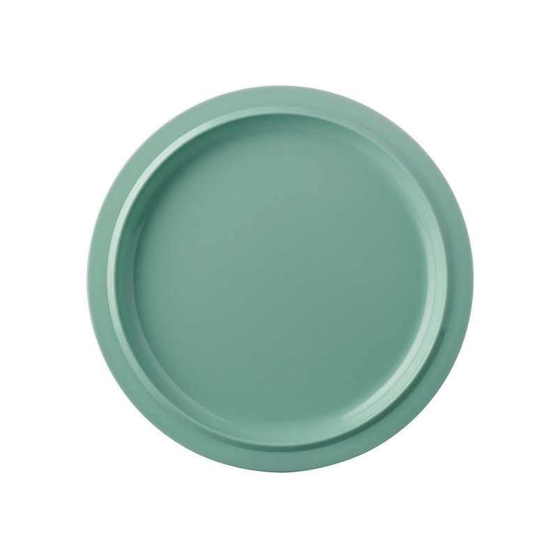 Mepal Plate Basic P250 - Retro green